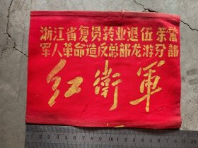 老袖标，浙江省复员转业退伍……红卫军，这个称呼不多见，包老保真