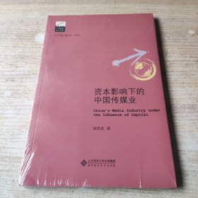 资本影响下的中国传媒业