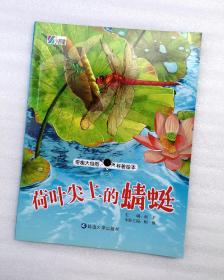 《荷叶尖上的蜻蜓》 绘本