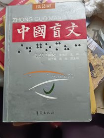 中国盲文