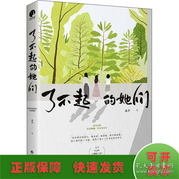 了不起的她们（知名情感小说作家&金牌编剧未夕代表作《糟糠之妻》全新修订版）