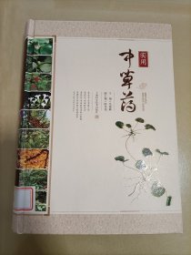 实用中草药