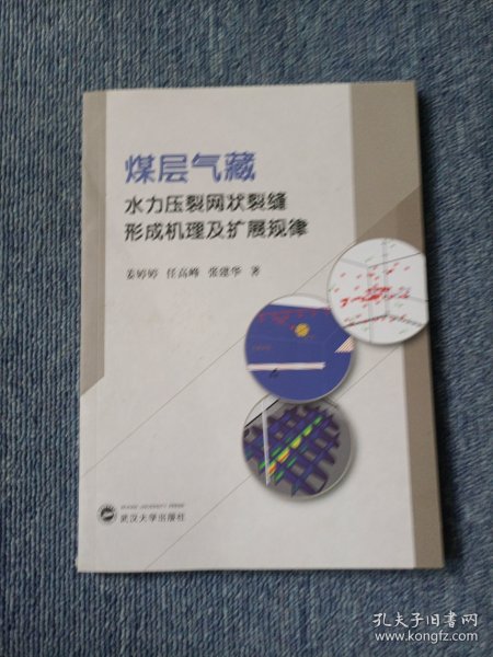 煤层气藏水力压裂网状裂缝形成机理及扩展规律