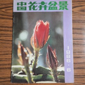 中国花卉盆景1986.6