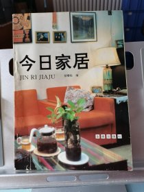 今日家居:[图册]:今日中国普通家庭居室的实录