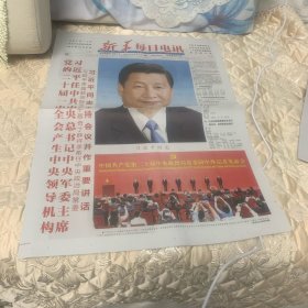 新华每日电讯2022年10月24日