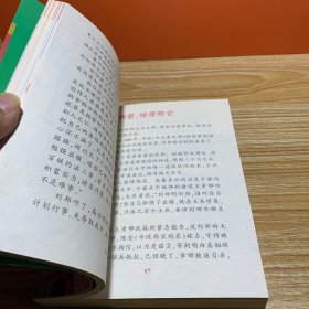 小学生领先一步读历史：牵手秦汉