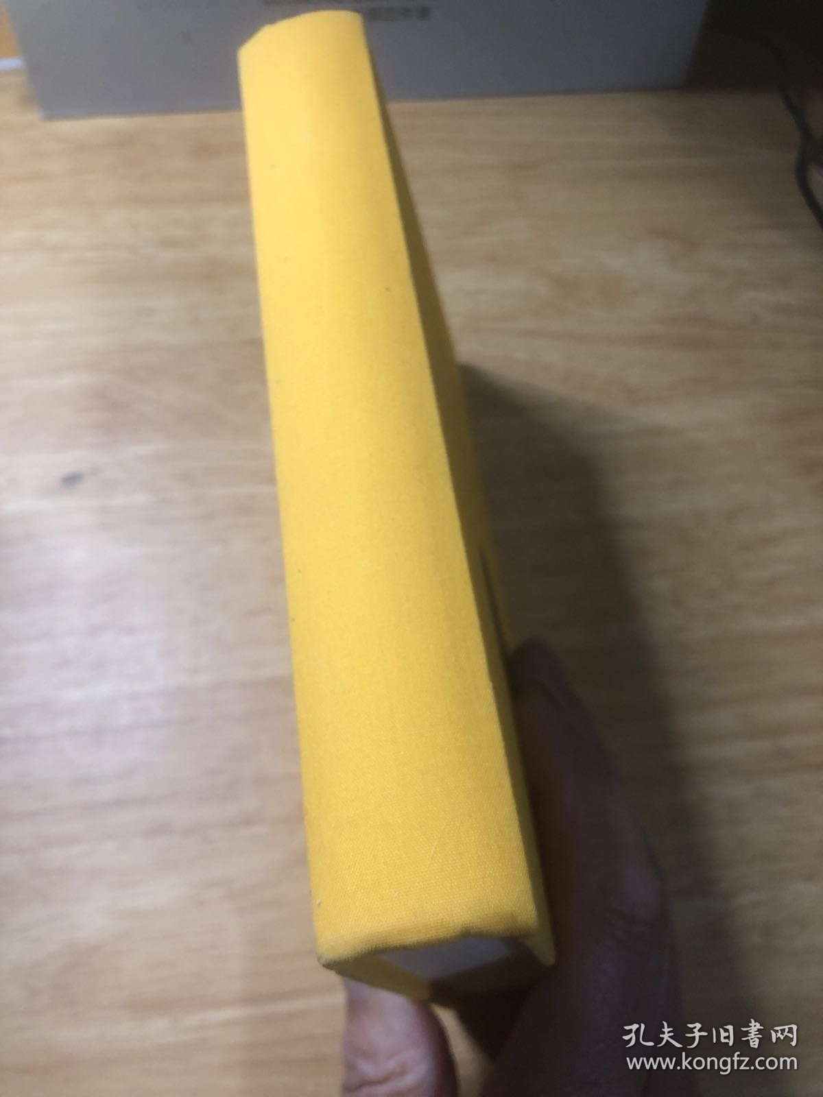 历史悲剧的维度 欧洲电影大师访谈与研究