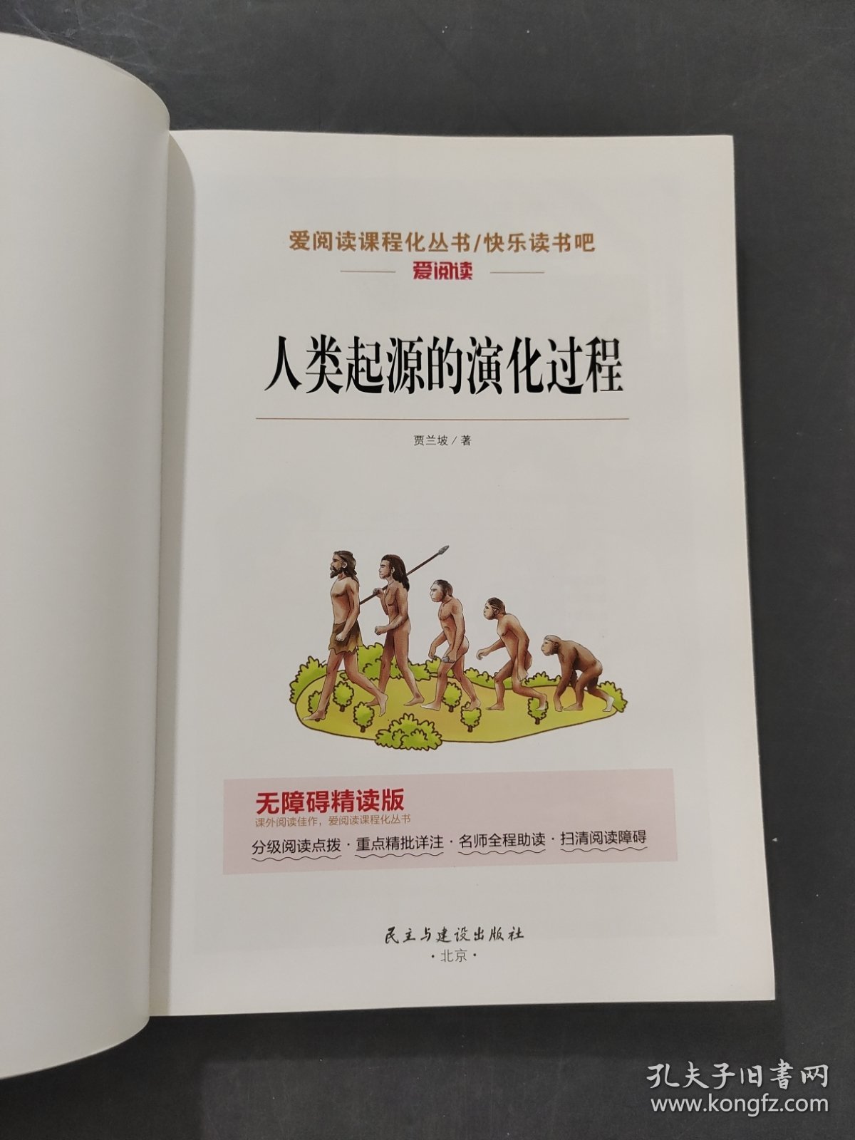 人类起源的演化过程