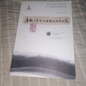 唐朝与中亚九姓胡关系史研究