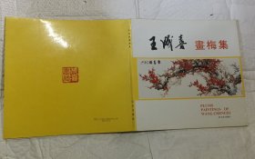 王成喜画梅集【12开品好】