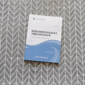 强涌浪海域滨海电站水动力关键技术研究及应用