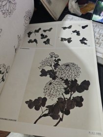 举一反三：画菊花