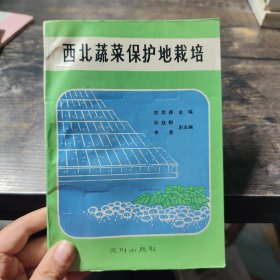 西北蔬菜保護(hù)地栽培