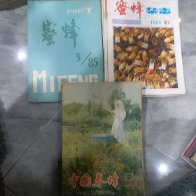 中国养蜂九本，蜜蜂四本，蜜蜂杂志1993年全12