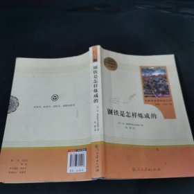 统编语文教材配套阅读 八年级下：钢铁是怎样炼成的/名著阅读课程化丛书