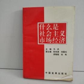 什么是社会主义市场经济