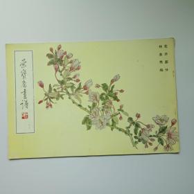 荣宝斋画谱100林金秀绘花卉部分