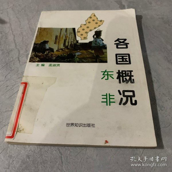 各国概况：东非