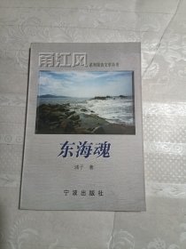 甬江风系列报告文学丛书:东海魂