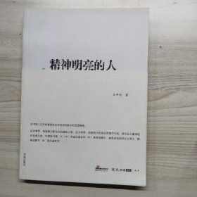 精神明亮的人：王开岭散文随笔自选集