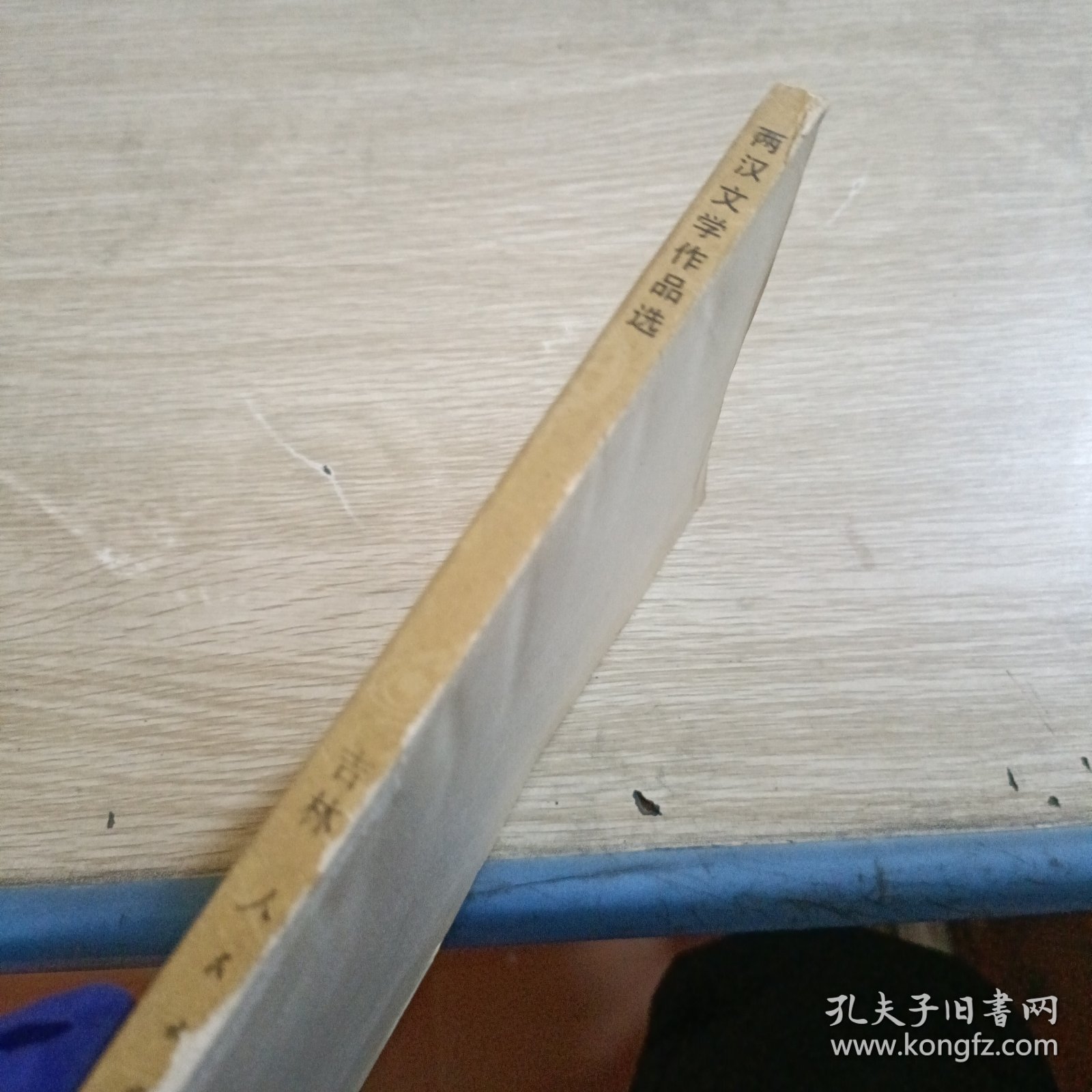 两汉文学作品选