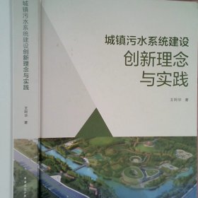 城镇污水系统建设创新理念与实践