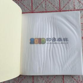 印象南非