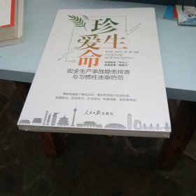 珍爱生命：安全生产事故隐患排查与习惯性违章防范