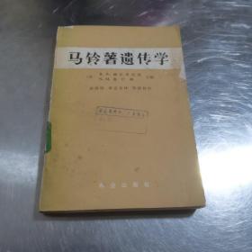 马铃薯遗传学