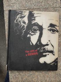 Einstein: The Life of a Genius 爱因斯坦画传——天才的一生（英文原版）