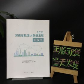 河南省能源大数据发展白皮书2021