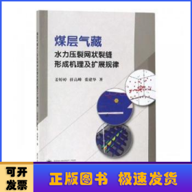 煤层气藏水力压裂网状裂缝形成机理及扩展规律