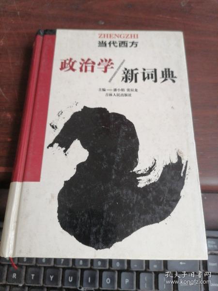 当代西方政治学新词典