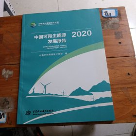 中国可再生能源发展报告2020