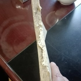 鲁迅一中国文化革命的巨人