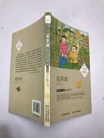 中国新生代儿童文学作家精品书系：姐弟坡