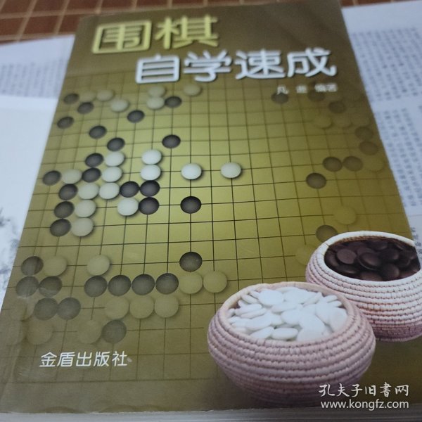 围棋自学速成