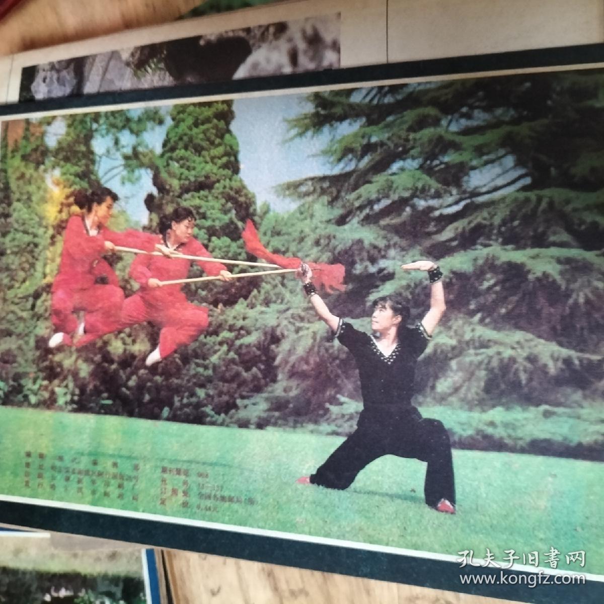 精武，武松拳法，实战入门，南拳桥法，青龙拳，乾卦狮形掌，尹派八卦掌，强身五法八象，五花炮拳，太祖洪拳，甘凤池拳法，武家气功，养生法，少林武技，太极拳，武术之交流，民间点穴，药方，中国传统技击，武林绝技，八卦掌擒术