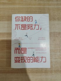 你缺的不是努力，而是变现的能力：用精准努力撬动财富自由