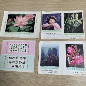 8张纸片