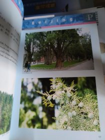 北京常见树木
