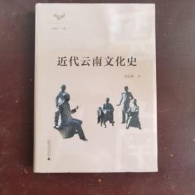 云南文化史丛书·近代云南文化史