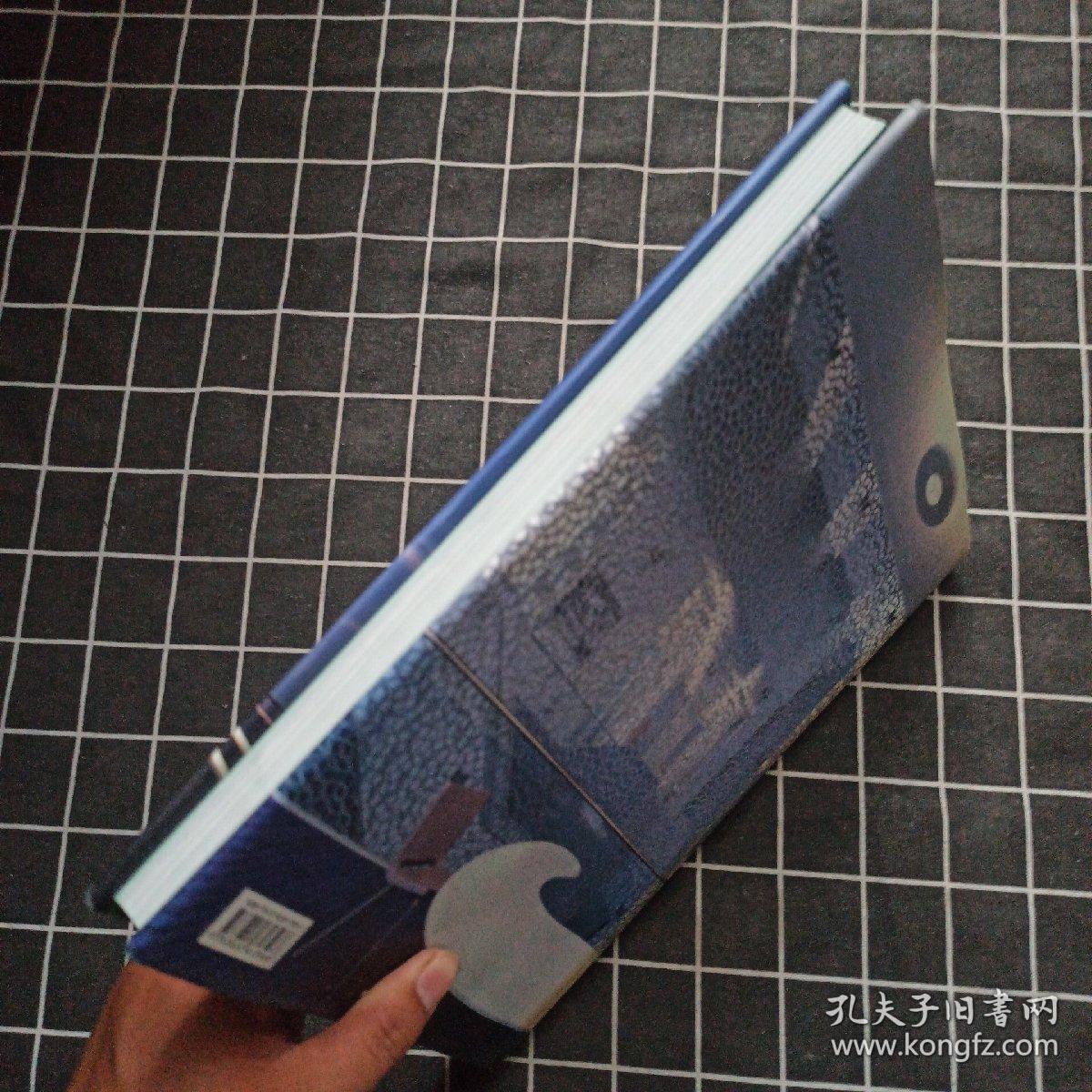 ArchitectureintheEmirates(GermanEdition)