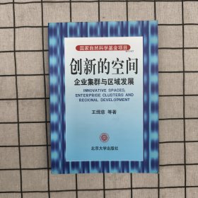 创新的空间：企业集群与区域发展