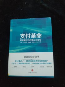 支付革命：互联网时代的第三方支付