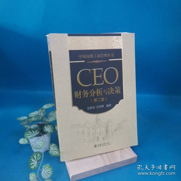 中国高级工商管理丛书：CEO财务分析与决策（第2版）