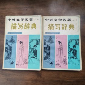 中外文學(xué)名著描寫辭典 上下
