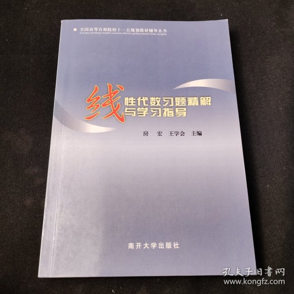 线性代数习题精解与学习指导