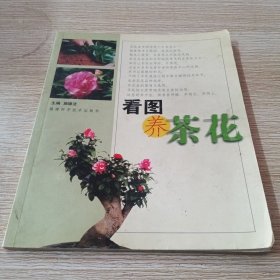看图养茶花